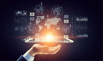 流量争夺战 现状、策略与“流量贝贝”的启示